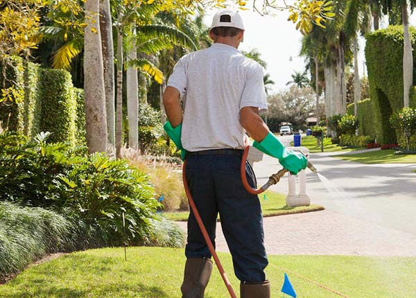 About Jamestown PA Pest Control